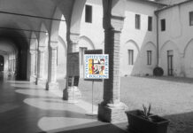 Folcioni, nuove importanti collaborazioni