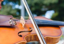 Lezioni di violino a Moscazzano: cambio date